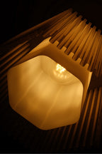 HEXA | Hexagonal Pendant Lamp – Defining Geometric Light