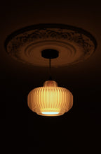 ONIO | Sculptural 3D Printed Pendant Light – Design Lighting